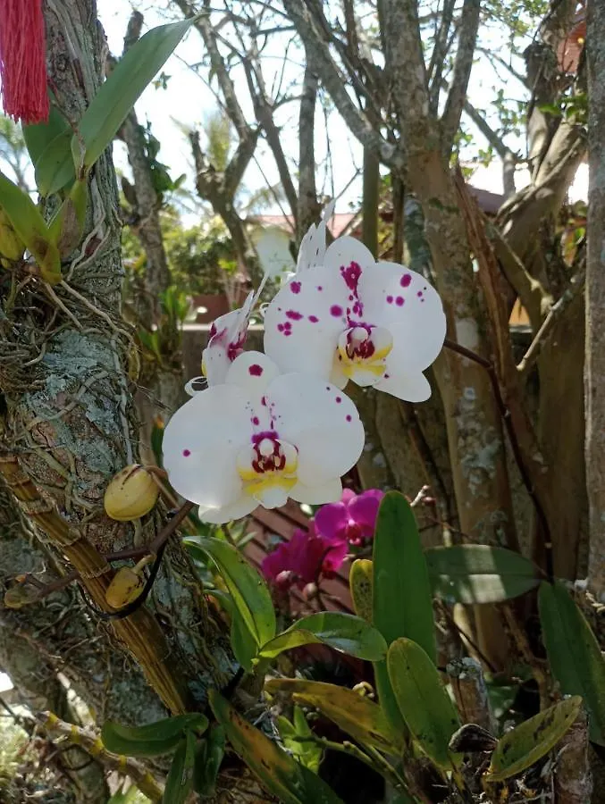 Affittacamere Casa Da Sandra Florianópolis
